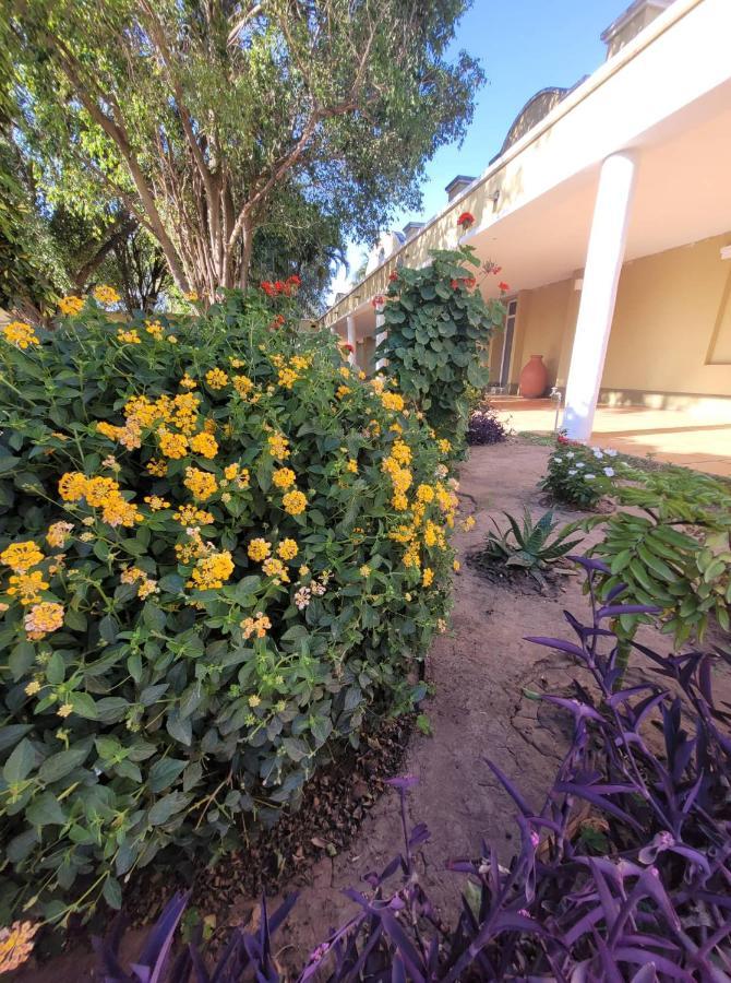 Hotel Portico Norte Tartagal Bagian luar foto